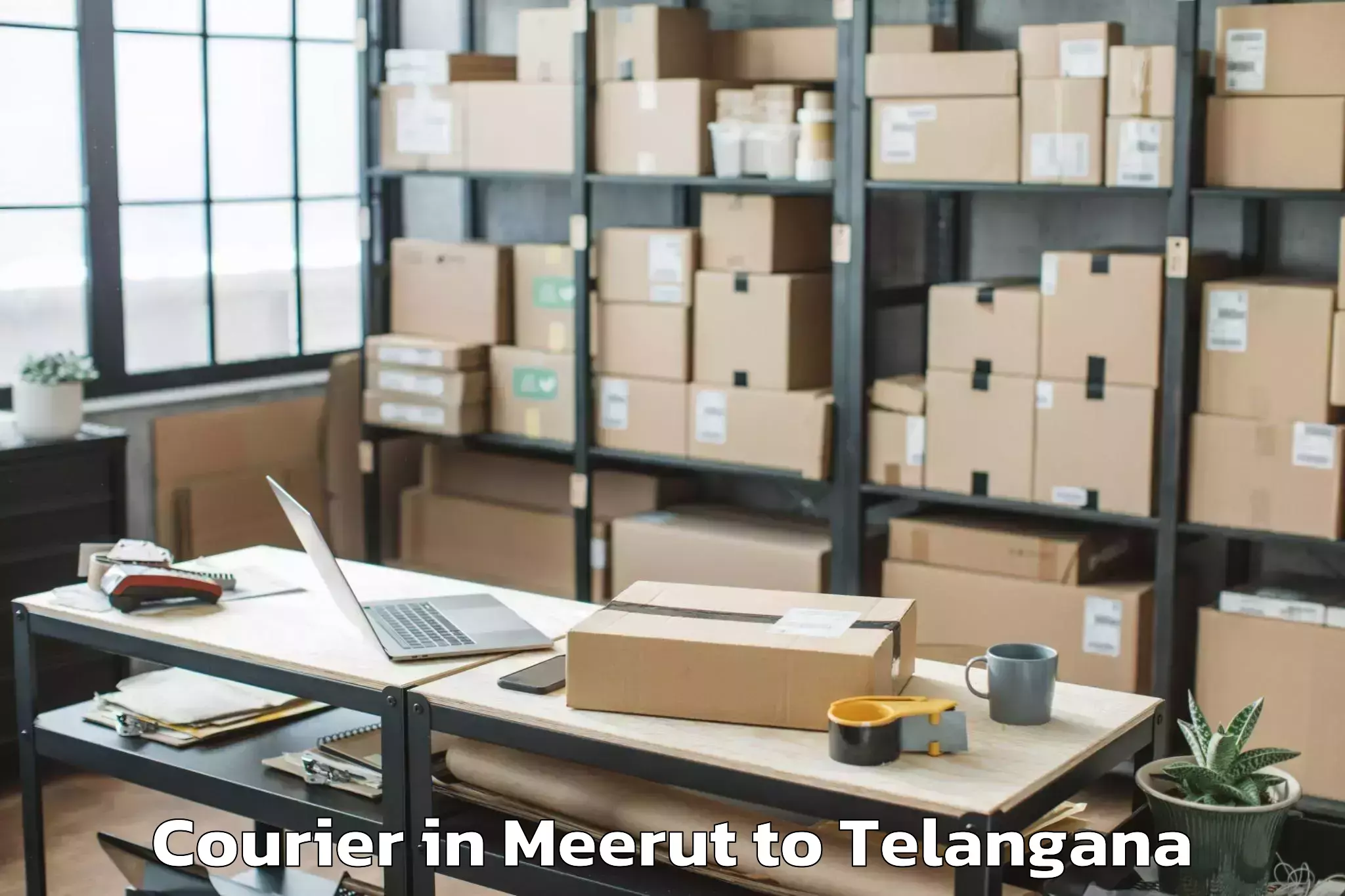 Efficient Meerut to Dammapeta Courier